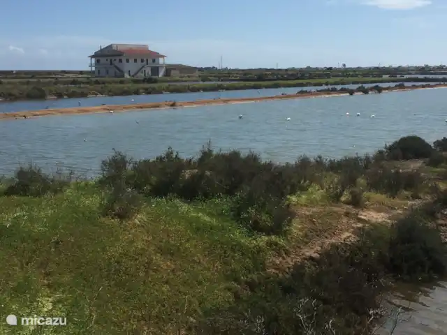 casa vacacional en Portugal, Algarve, Moncarapacho – Casa Ritmo do Mar Ecovía