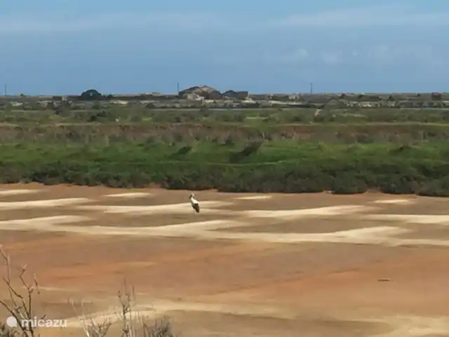 casa vacacional en Portugal, Algarve, Moncarapacho – Casa Ritmo do Mar Ecovía