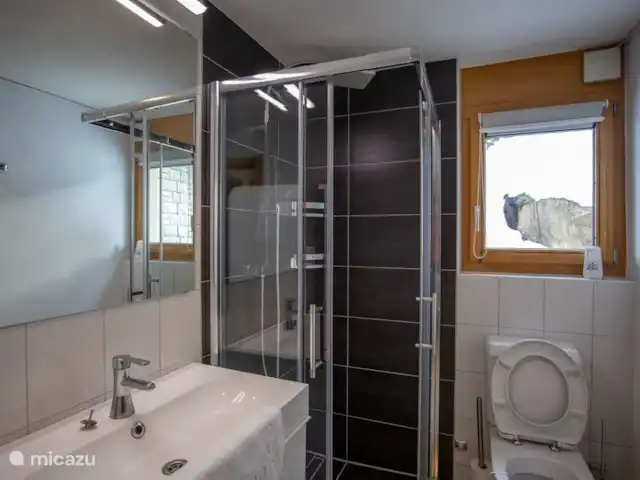 Bettmerlodge | Suisse, Valais, Bettmeralp - appartement Salle de bain douche, WC, lavabo et lave-linge sèche-linge