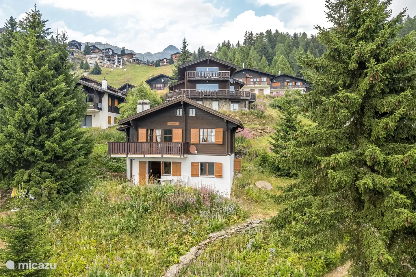 Golf, Zwitserland, Wallis, Bettmeralp, appartement Brigerblick OG