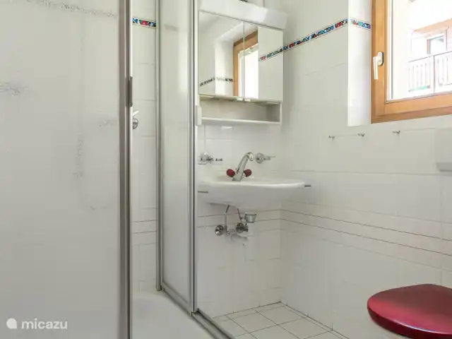 Location de Vacances Suisse, Valais, Bettmeralp, appartement - Fata Morgana 6 Salle de bain avec douche/toilette/lavabo