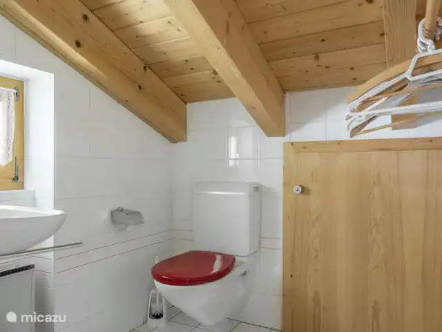 Location de Vacances Suisse, Valais, Bettmeralp, appartement - Fata Morgana 6 Salle de bain avec douche/toilette/lavabo