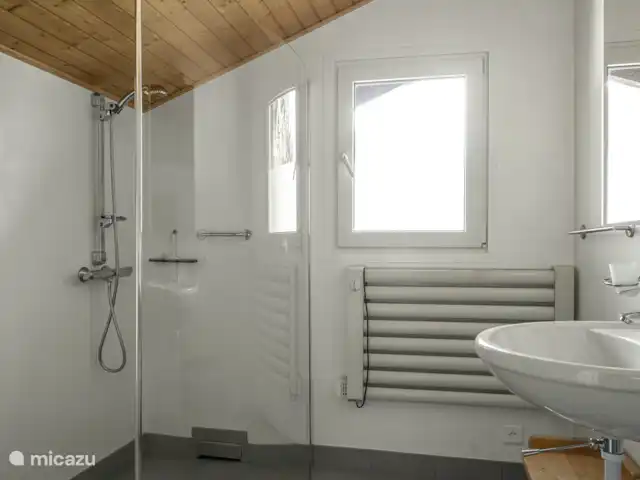 Location de Vacances Suisse, Valais, Fiesch, appartement - Lotus OG 1 salle d'eau avec lavabo, WC et douche, local avec lave-linge et sèche-linge.