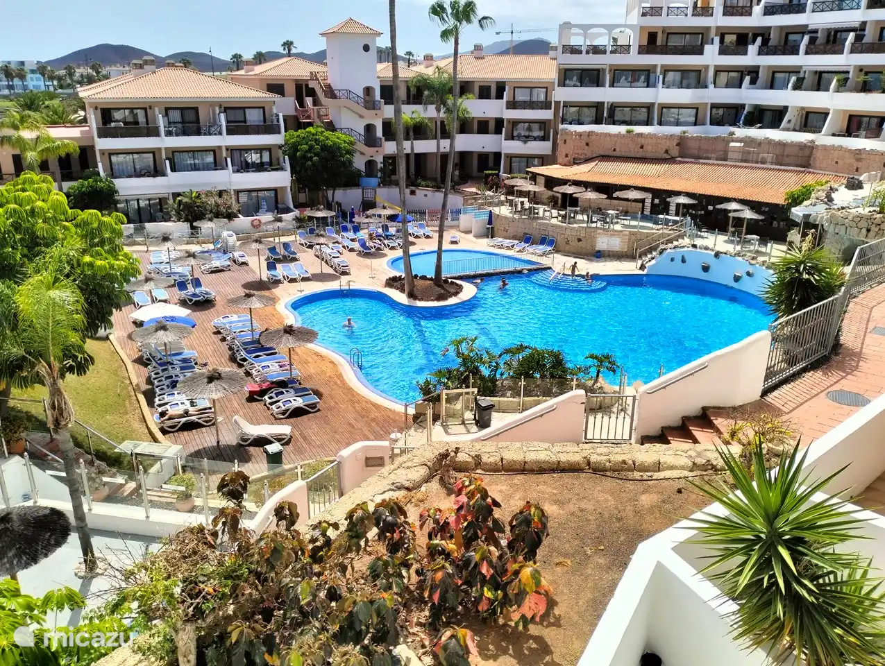 appartement, San Miguel de Abona, Teneriffa, Spanien - Parque Albatros