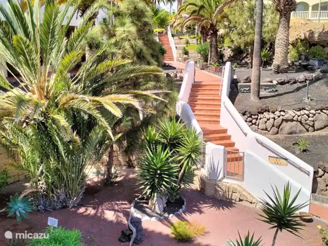 Location de Vacances Espagne, Tenerife, Golf del Sur, appartement - Parque Albatros jardins