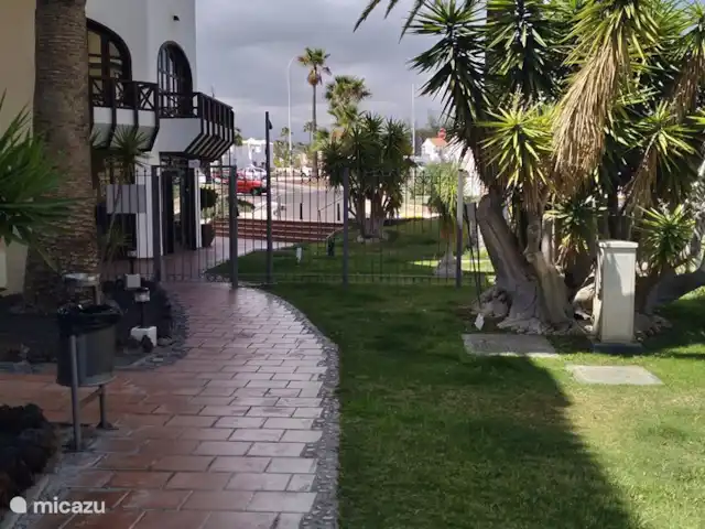 Location de Vacances Espagne, Tenerife, Golf del Sur, appartement - Parque Albatros jardin