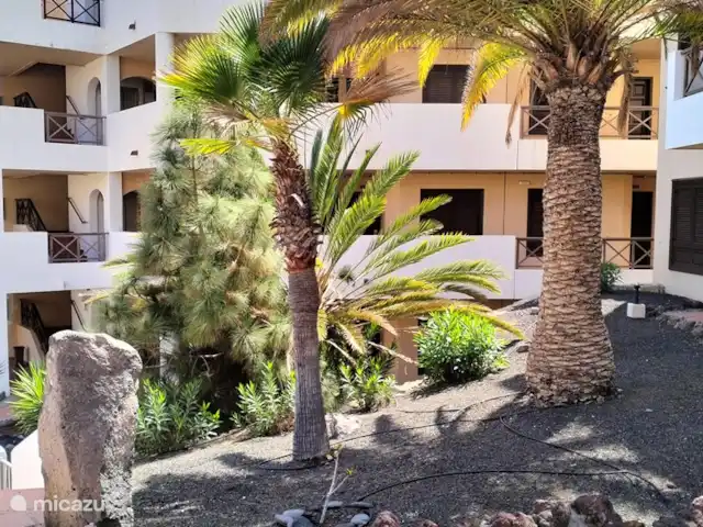 Location de Vacances Espagne, Tenerife, Golf del Sur, appartement - Parque Albatros jardin
