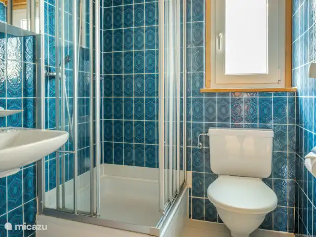 Location de Vacances Suisse, Valais, Fiesch, appartement - Lotus UG 1 salle de bain avec lavabo