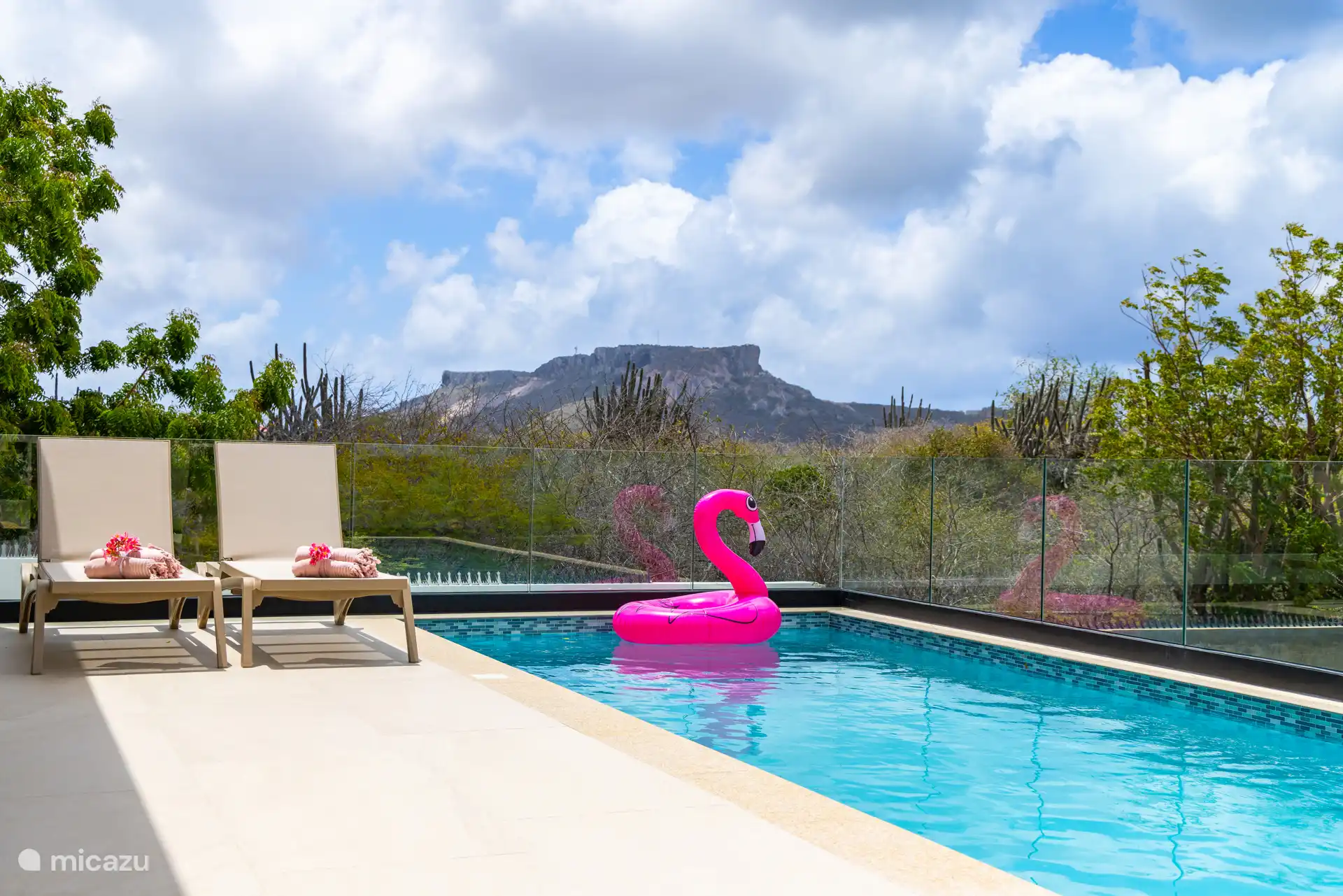View of Table Mountain from the pool