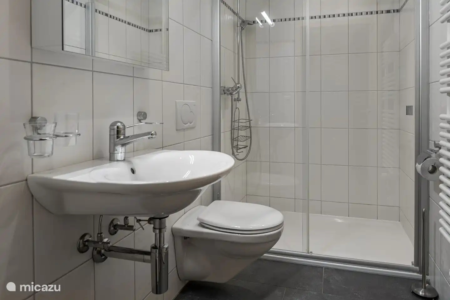  Dusche, WC, Waschbecken. 