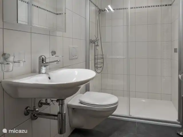 Laackerhof | Suisse, Valais, Bettmeralp - chalet douche, toilettes, lavabo.