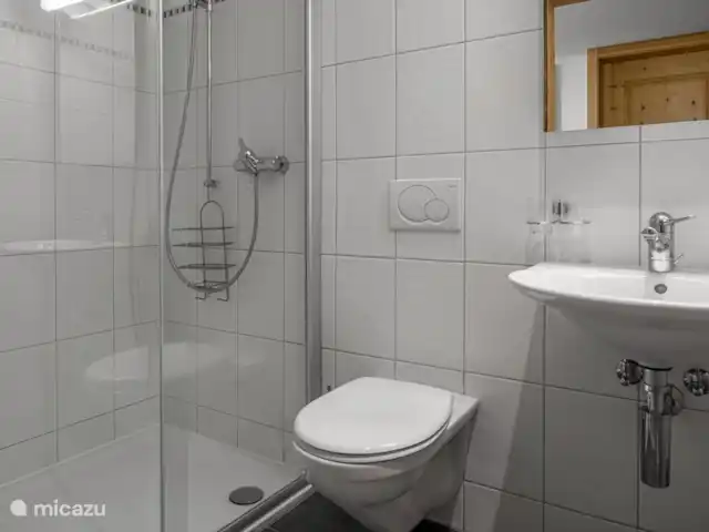 Laackerhof | Suisse, Valais, Bettmeralp - chalet douche, toilettes, lavabo.