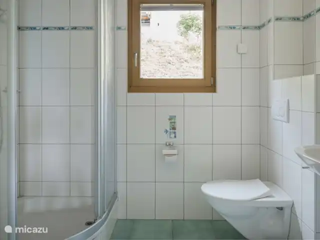 Camelot 4 | Suisse, Valais, Bettmeralp - appartement Salle de bain avec WC, lavabo et douche