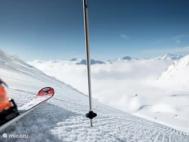 Camelot 4 | Suisse, Valais, Bettmeralp - appartement Vous pouvez profiter de vos vacances d'hiver à Fiesch dans l'Aletsch Arena