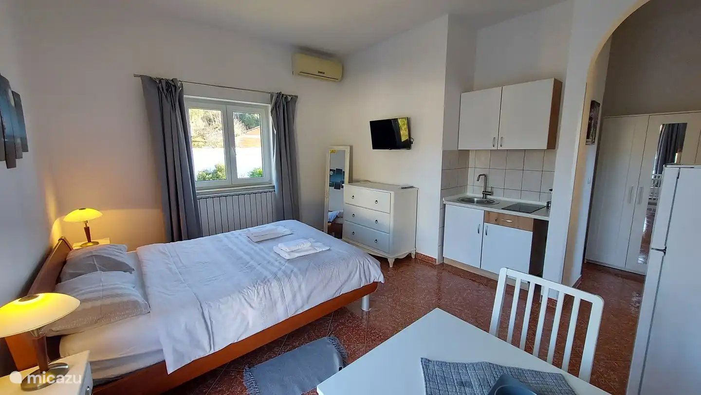 Estudio con baño y pequeña cocina 