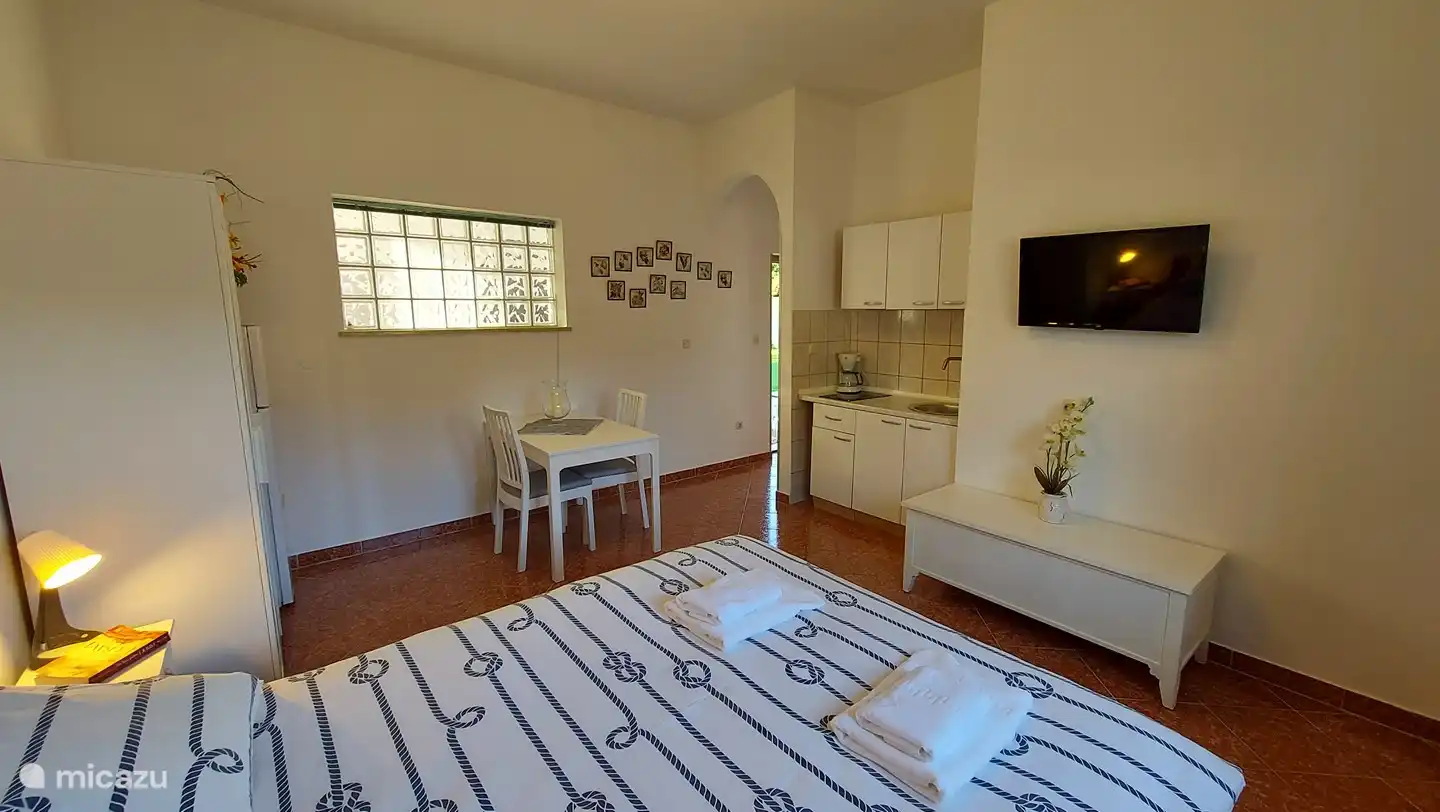 Estudio con baño y pequeña cocina 