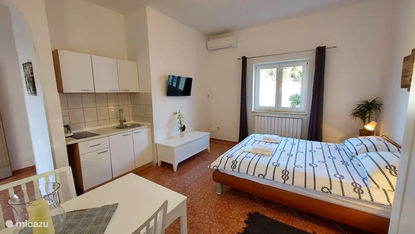 Estudio con baño y pequeña cocina 