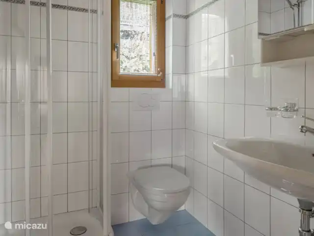Location de Vacances Suisse, Valais, Bettmeralp, chalet - UVA Douche/WC/lavabo.