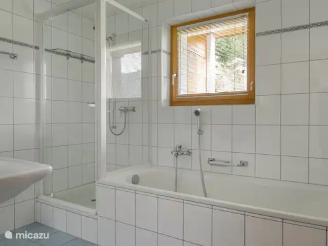 Location de Vacances Suisse, Valais, Bettmeralp, chalet - UVA Salle de bain avec douche/toilette/lavabo.