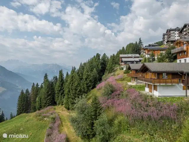 Location de Vacances Suisse, Valais, Bettmeralp, chalet - UVA Le chalet est en bordure des bâtiments et dispose d'un immense balcon orienté est, sud et sud-ouest et d'une terrasse orientée sud.