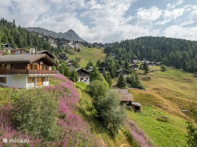 Location de Vacances Suisse, Valais, Bettmeralp, chalet - UVA chalet indépendant avec un grand balcon et terrasse/jardin au sud