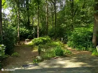 De tuin vanaf het terras