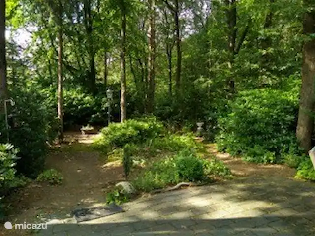 vakantiehuis huren in Nederland, Gelderland, Ermelo – De Tuinfluiter De tuin vanaf het terras