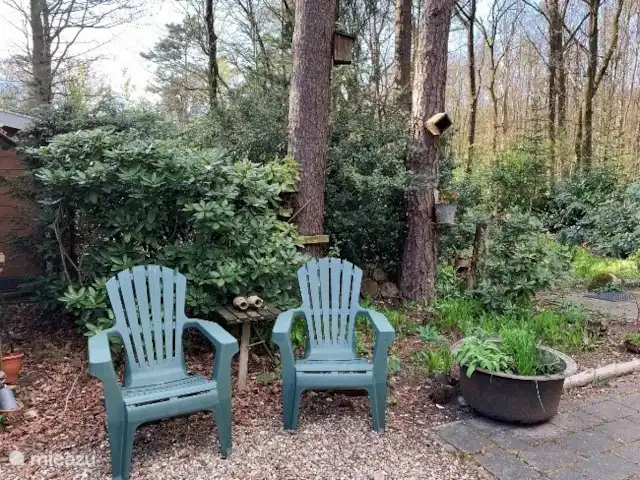 vakantiehuis huren in Nederland, Gelderland, Ermelo – De Tuinfluiter een tweede zitje, in de ochtendzon