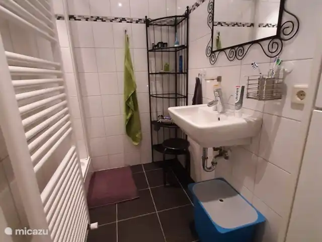 vakantiehuis huren in Nederland, Gelderland, Ermelo – De Tuinfluiter de badkamer