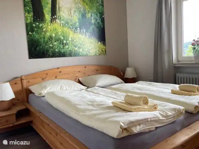 Casa Aktiv Winterberg PanoramaAppart en Alemania, Sauerland, Winterberg - apartamento dormitorio