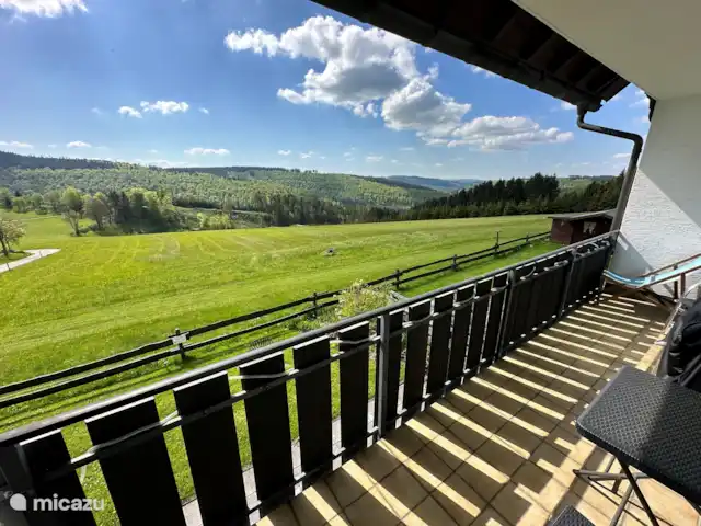 Casa Aktiv Winterberg PanoramaAppart en Alemania, Sauerland, Winterberg - apartamento Panorama desde el balcón con parrilla eléctrica.