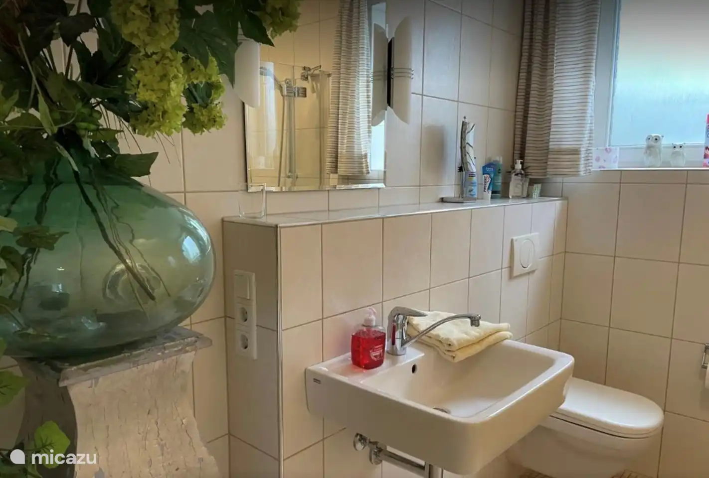 Bathroom garden apartment