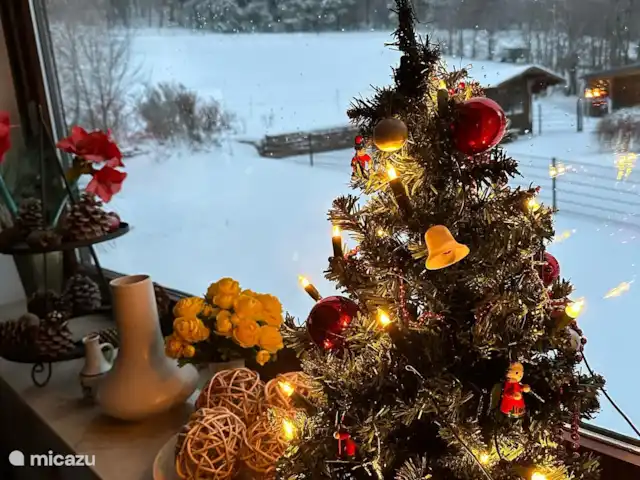 Fondation DAG Maison Beja - Winterberg | Allemagne, Sauerland, Winterberg - maison de vacances Noël