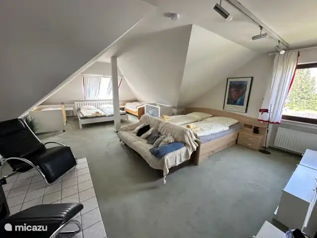 Fondation DAG Maison Beja - Winterberg | Allemagne, Sauerland, Winterberg - maison de vacances Studio - Suite Junior
