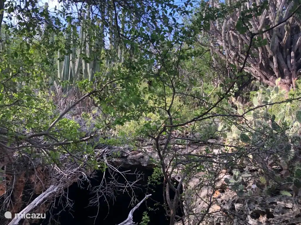 Kueba di Indjan at Rondeklip