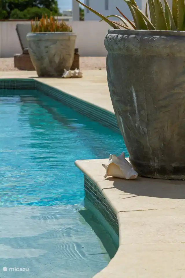 Sautez dans l'eau bleue et fraîche de la piscine