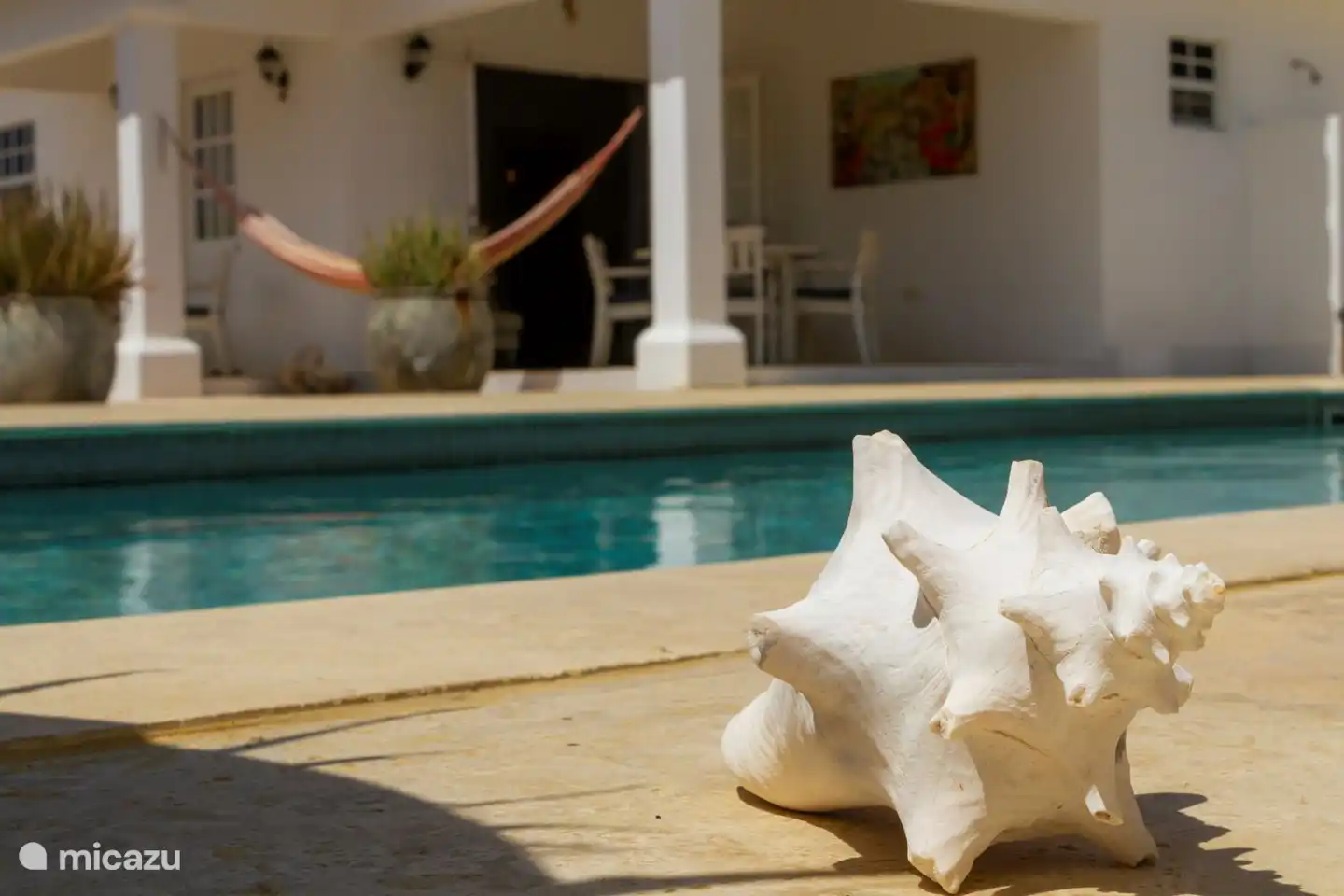 Vous voyez-vous vous détendre dans le hamac ?