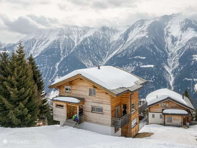 Winter sports, Switzerland, Wallis, Bettmeralp, chalet Aarninkhof