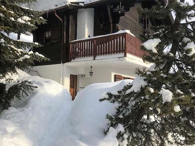 Holiday home in Switzerland, Wallis, Bettmeralp – apartment Am Bühl EG