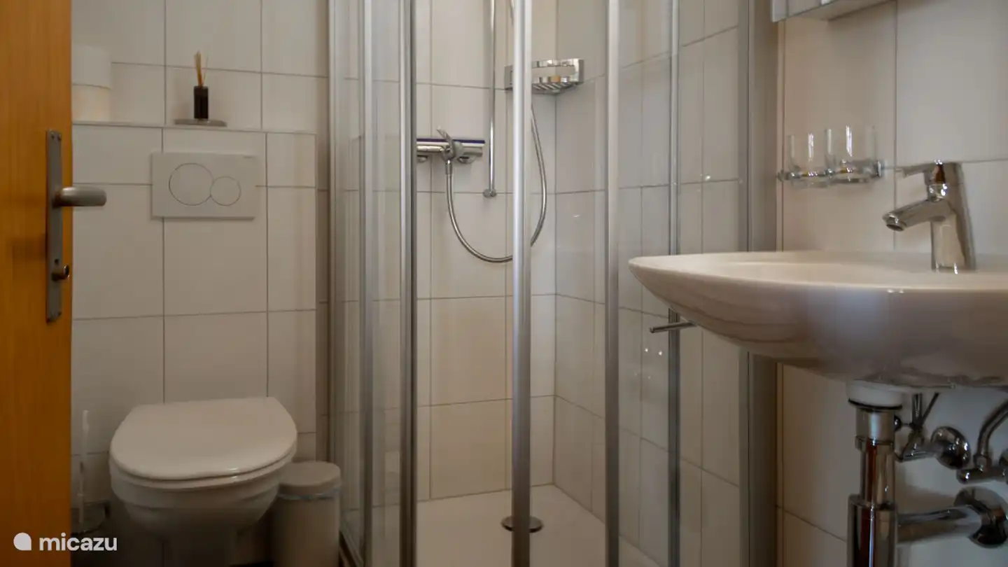 Salle de bain avec douche, lavabo et toilette