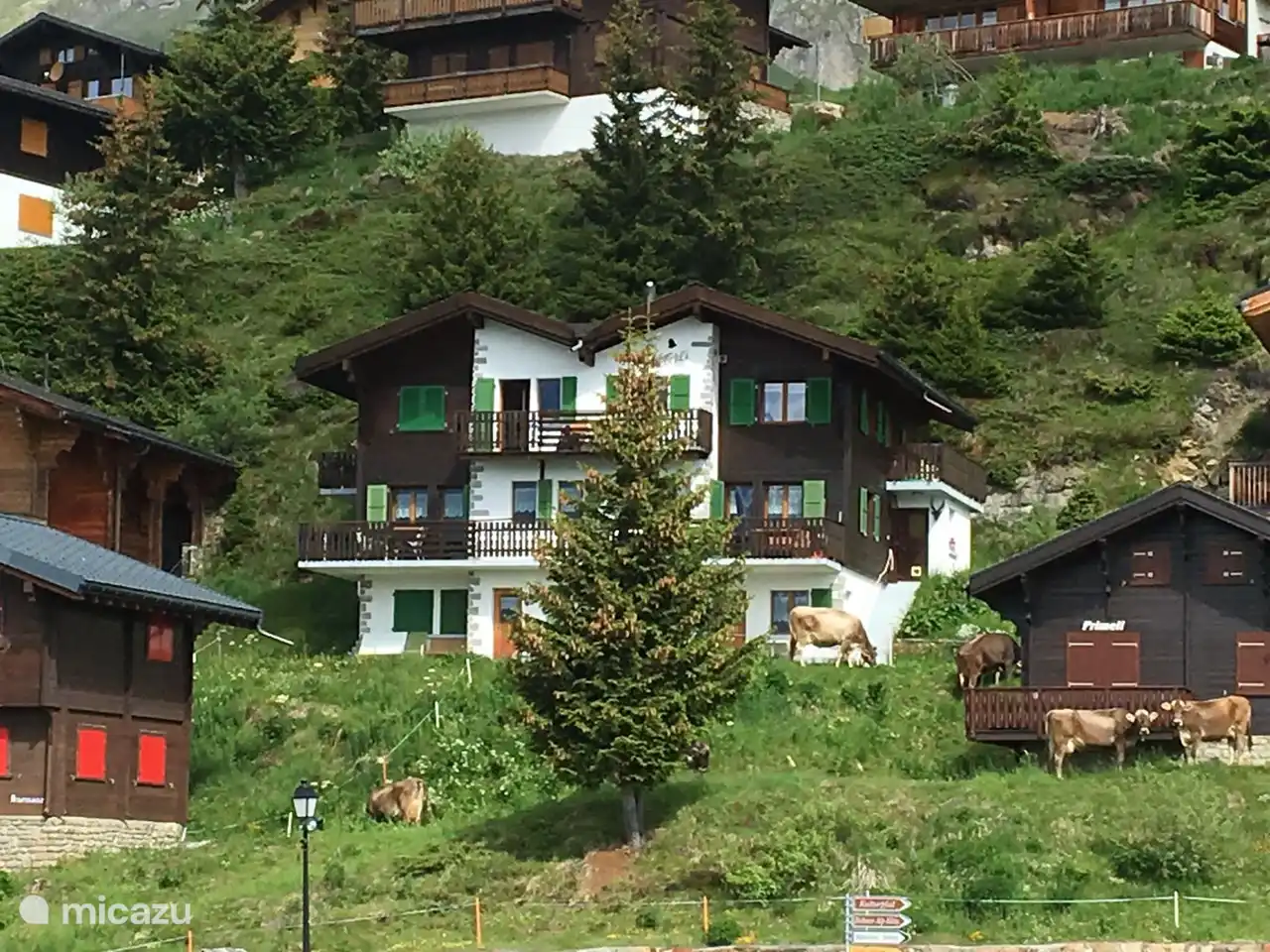 Chalet Abendglöckli, emplacement central et calme, à 5 minutes du téléphérique
À quelques minutes du télésiège du magnifique domaine skiable et de randonnée. 2 minutes de la boulangerie, 3 minutes de l'épicerie.