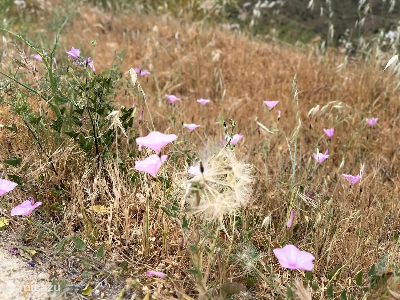 Belle nature et promenades depuis la maison de vacances
