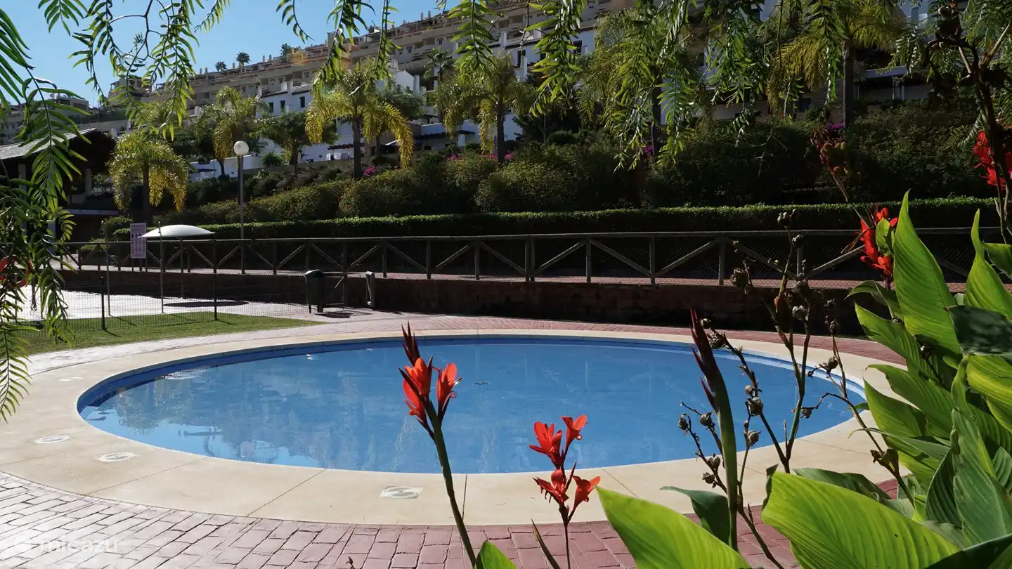 The shallow safe children's pool.