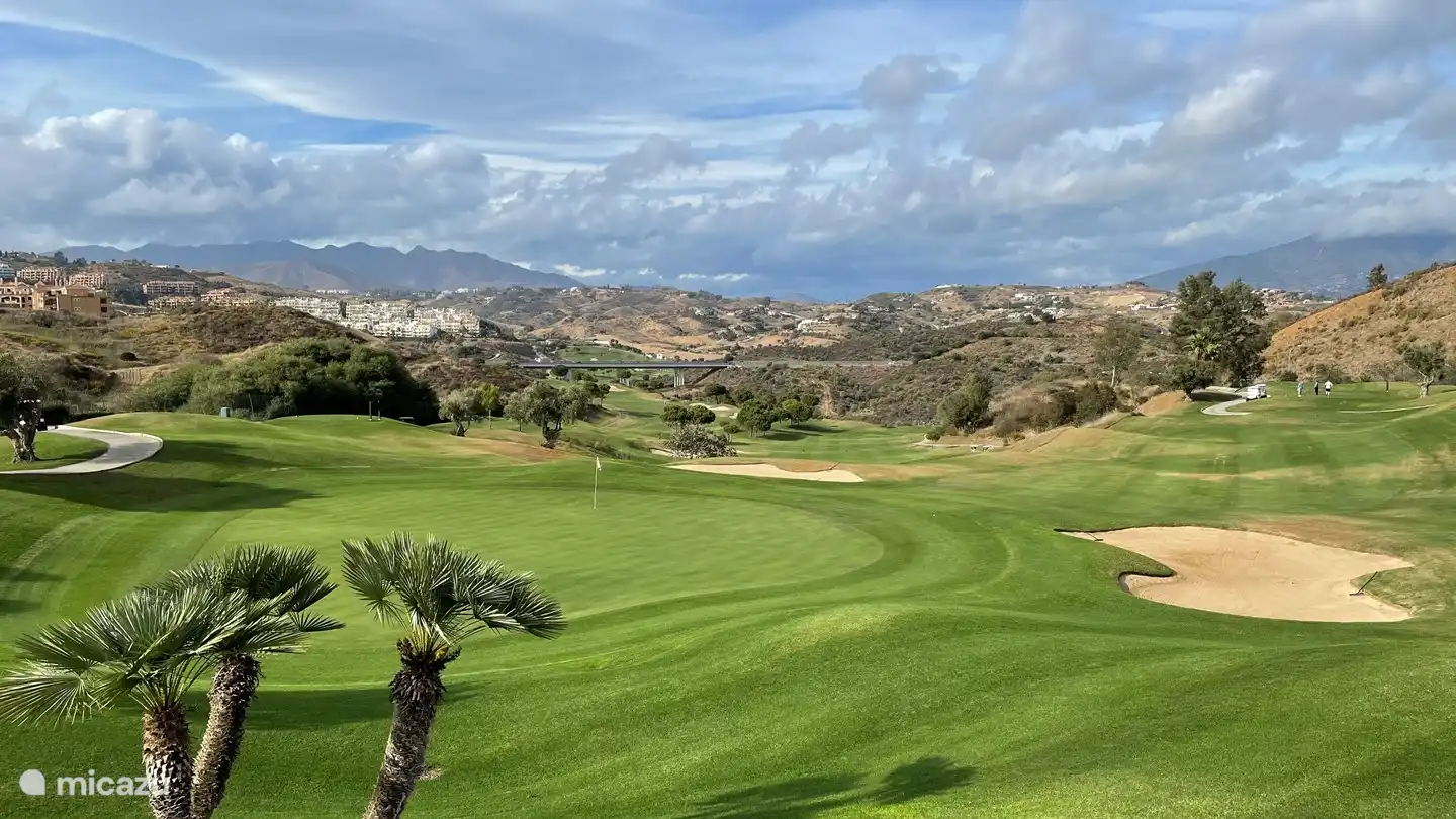 Golf courses can be found here in abundance.