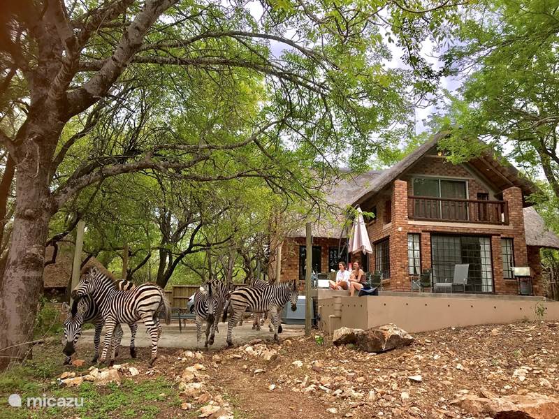 Casa vacacional Sudáfrica, Mpumalanga, Marloth Park Casa vacacional Casa del río Marlothi