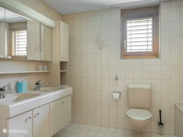 Eilander Sunshine en Suiza, Valais, Fiesch - apartamento 1 cuarto de baño con lavabo doble, inodoro, bañera y ducha