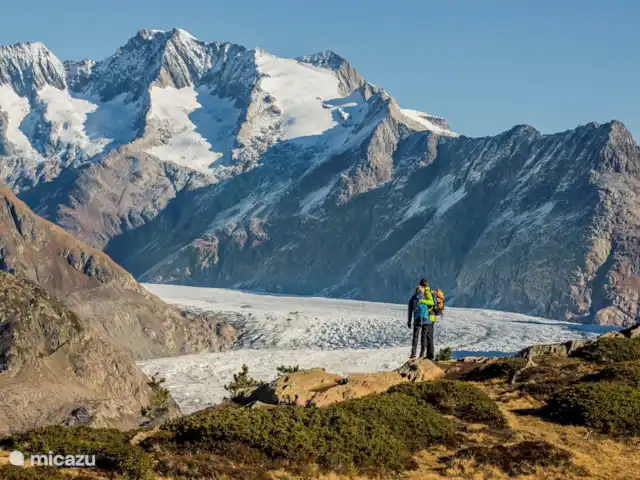 Eilander Sunshine en Suiza, Valais, Fiesch - apartamento Glaciar Aletsch