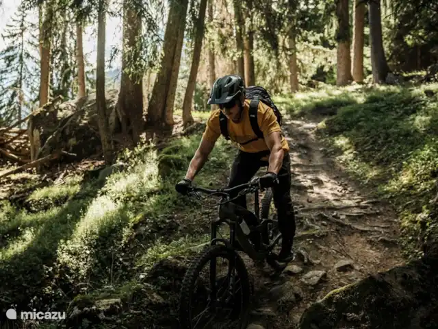 Eilander Sunshine en Suiza, Valais, Fiesch - apartamento Ciclismo Aletsch Arena