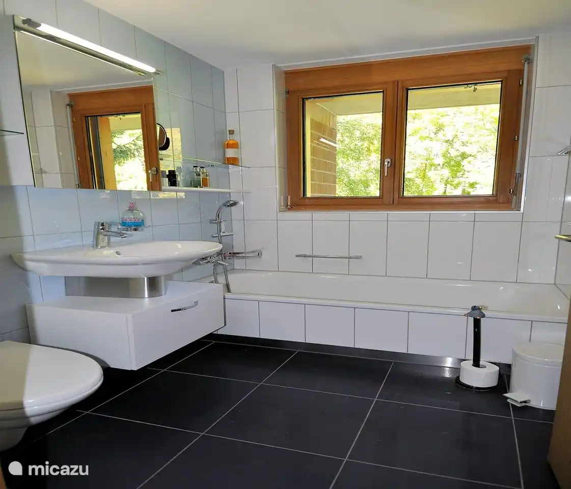 Das andere Badezimmer hat eine Toilette, ein Waschbecken und eine Badewanne.