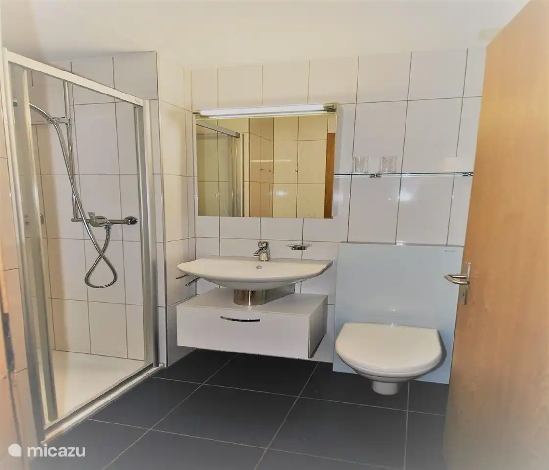 Ein Badezimmer verfügt über eine Toilette, ein Waschbecken und eine Dusche. 